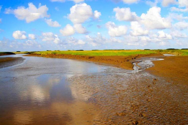 湿地日 | 招募!九段沙环保使者召集令!
