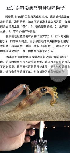 鱿鱼鲜活 刺身级 南澳岛 海兔 吹筒仔 500g/份拍四份顺丰加冰包邮