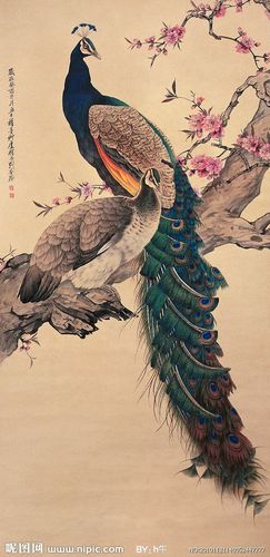 孔雀设计图_名家工笔_绘画书法_百度图片