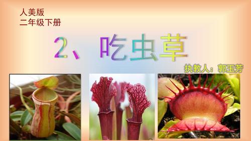 二年级下册美术课件-吃虫草 人美版(2018秋) (共14张ppt)