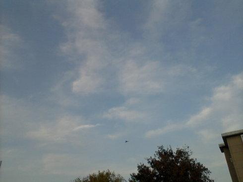 天气不好,心情要好