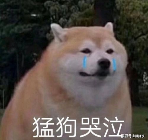 搞笑表情包图片:你害怕的时候会这样吗