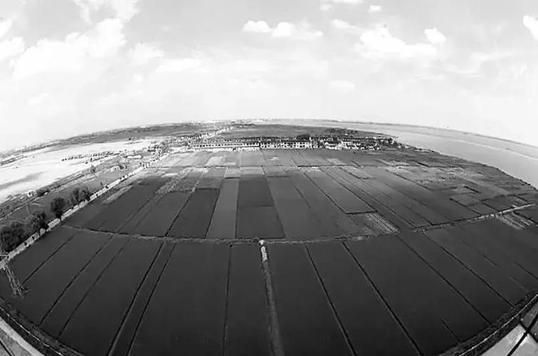 现在的金鸡湖,四周高楼大厦林立,再也不是一眼望不到头的田园景象了