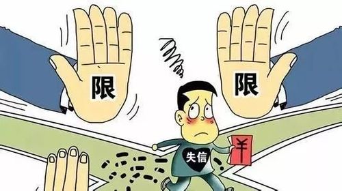 专利)领域严重失信主体开展联合惩戒的合作备忘录》,重复专利侵权行为
