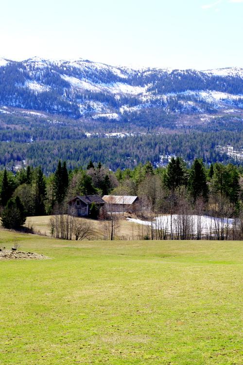 走进挪威农村(上)【主题游:乡村】