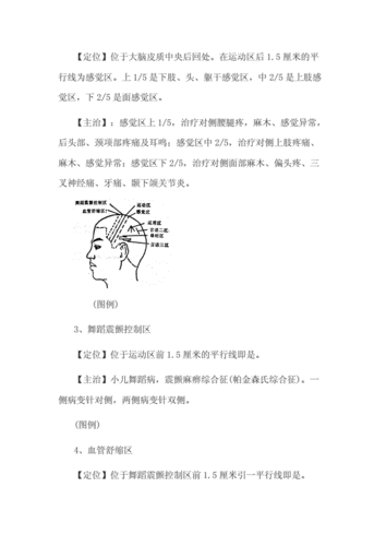 焦顺发头针穴名体系.doc