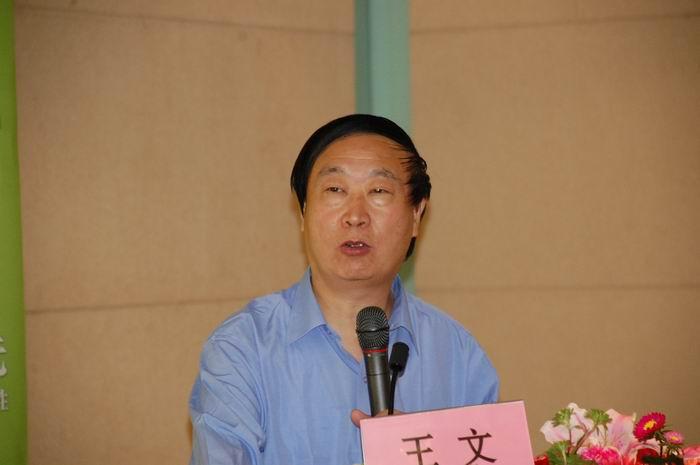 王文