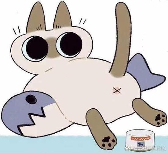 暹罗猫小豆泥