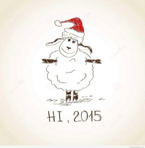 你好2015!新年新头像