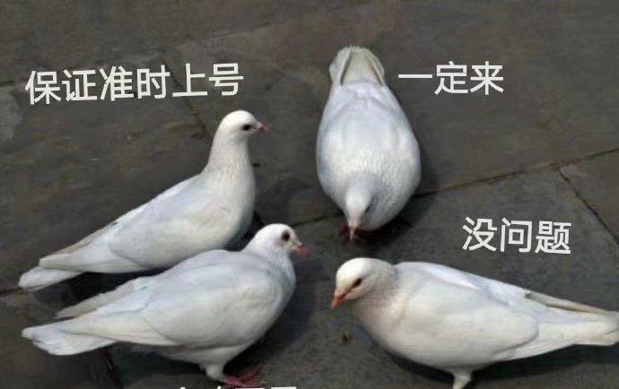 超魔性的「放鸽子专用表情包」,你一定用得上