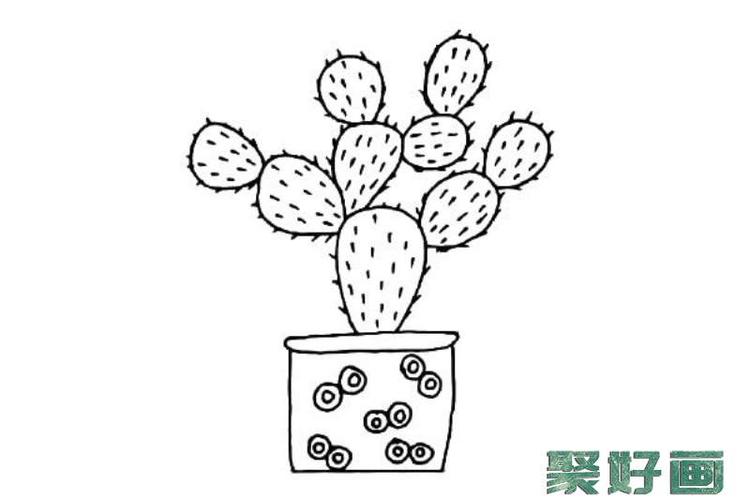 一组漂亮的仙人掌盆栽简笔画图片素材怎么画简笔画教程