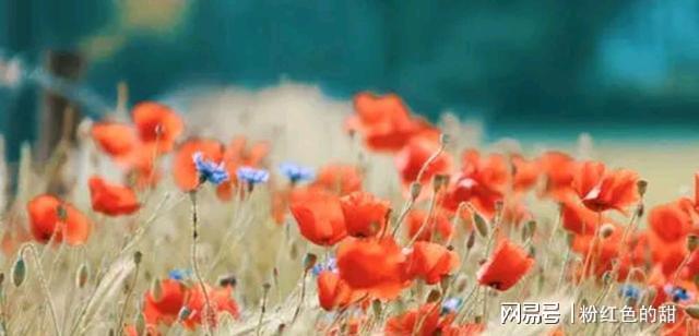 红颜知己,有你真好!|蓝颜知己|暖心|懂你|知心爱人