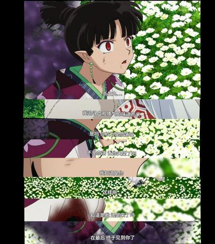 《犬夜叉》中,爱慕杀生丸的女子——风之使者神乐