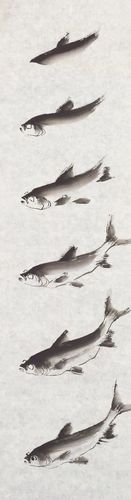 画鲢鱼的方法:以含水的毛笔蘸墨调试后,卧锋落纸向右拖出,画出墨色由