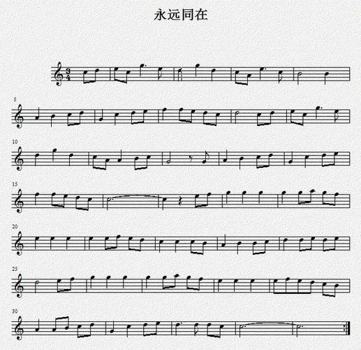 千与千寻歌曲always with me 的小提琴谱,谢谢