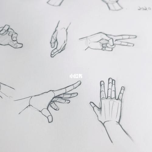 【kankan的速写】学画手手_插画_无印良品怎么样_铅笔