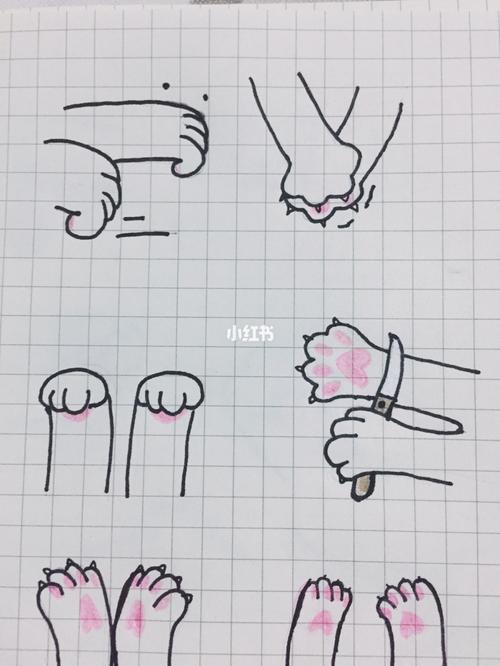 猫爪(2)_简笔画_简笔画教程_文化_绘画