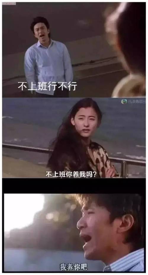 我养你啊!