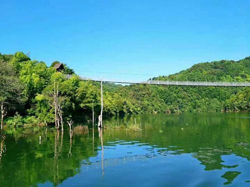 跑进面包之乡 体验纯净资溪 | 跟着马拉松去旅行