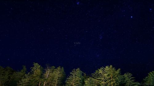 夜晚树林星空