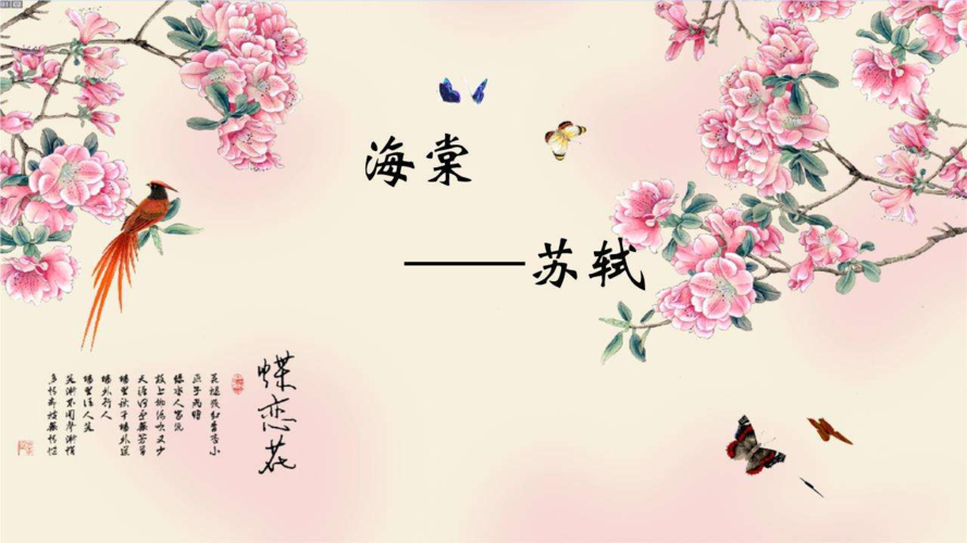 海棠花在古代诗歌中充当着什么样的意象?