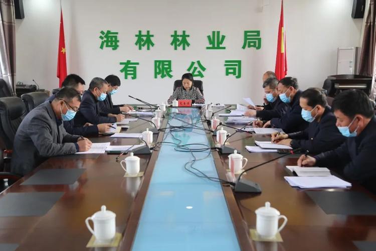 为确保职工群众度过一个欢乐,祥和,平安的新春佳节,连日来,海林林业局