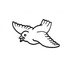 飞翔的小鸟怎么画