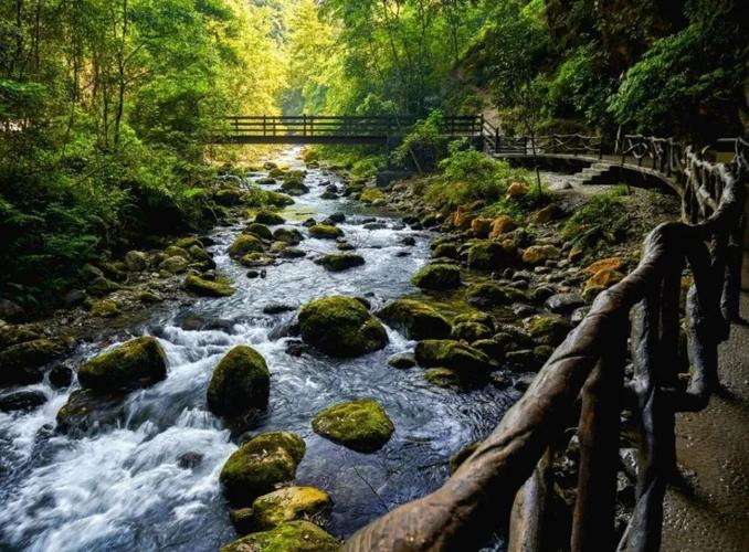 喜讯!巴山大峡谷景区被评为"2020年四川最受网民喜爱的网红打卡地"
