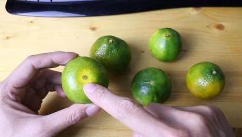 桔子的公母之分怎么区别桔子挑选分公母有科学依据