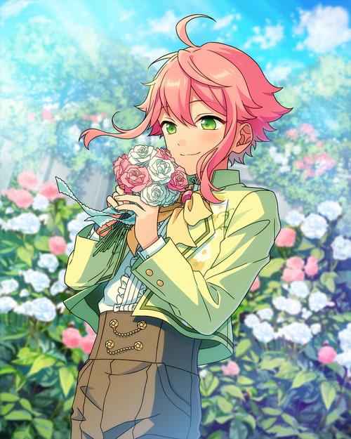 【es卡面收录】姬宫桃李