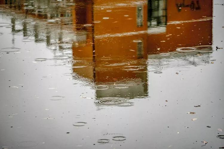 秋天是一段没有和声的旋律 秋天有风,秋天也下雨"  18:00  19:00 秋日