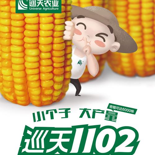 巡天1102(玉米种子)