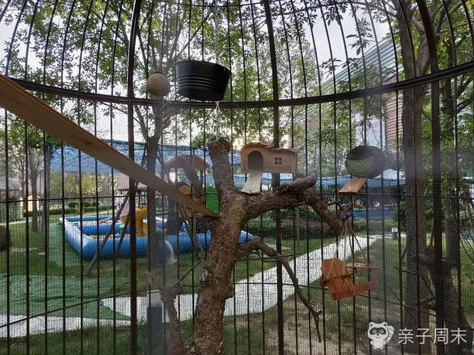 【套票特惠】万达亲子动物乐园(槐房万达),多种互动体验等你来