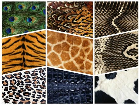 收集来的动物毛皮纹理图片模板下载体积:8.42m