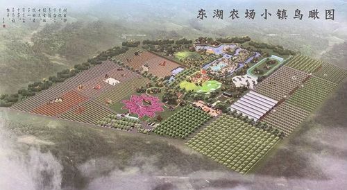安阳新东区▏东湖农场小镇节假日通用踏春好去处限量1000张18元享门市