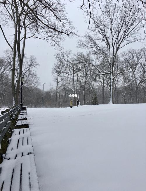我的照片下雪啦_出行