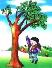 野外迷路怎么辨别东西南北方向