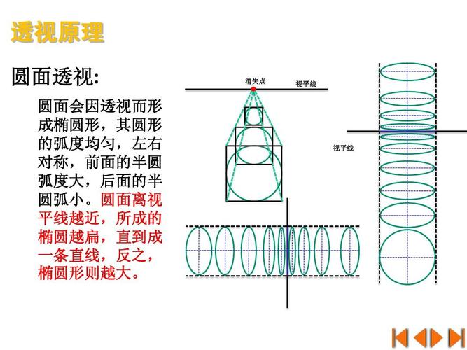 丹之青美术与您分享《圆形透视》