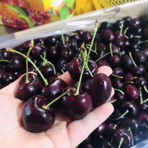 74果中钻石顶级智利车厘子来了28年骨灰级买手3招教你选出浓甜鲜脆