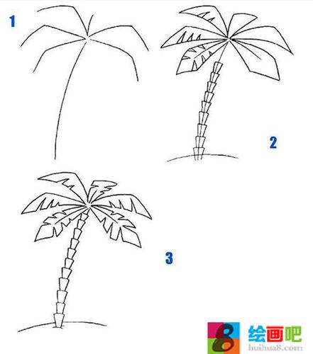 简笔椰子树一般怎么画?