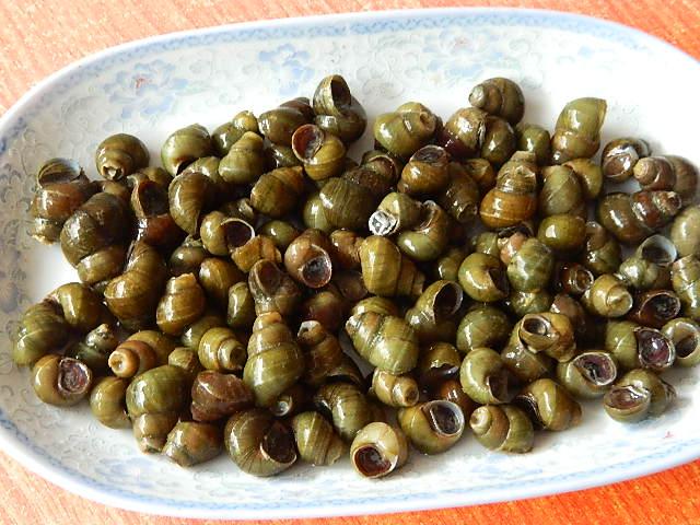 菜谱17,炒河螺