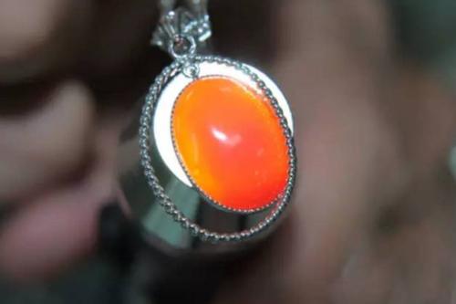 红珊瑚打灯效果图,辨别红珊瑚真假新技能