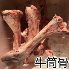 牛筒骨 冷冻牛骨头 牛大骨 牛腿骨 牛棒骨烤骨头可代切割 25kg/件