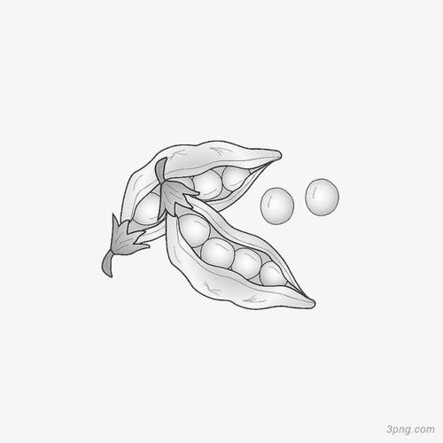 黄豆手绘画png素材透明免抠图片-卡通手绘