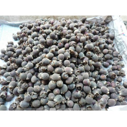 伟博山稔子干果山捻子果念子果干山棯子多尼果桃金娘原生新鲜泡酒材料