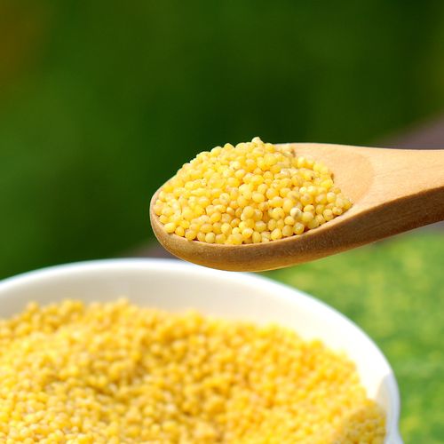 想真有机五谷杂粮 黄小米 糯小米 粟米月子米 有机粗粮