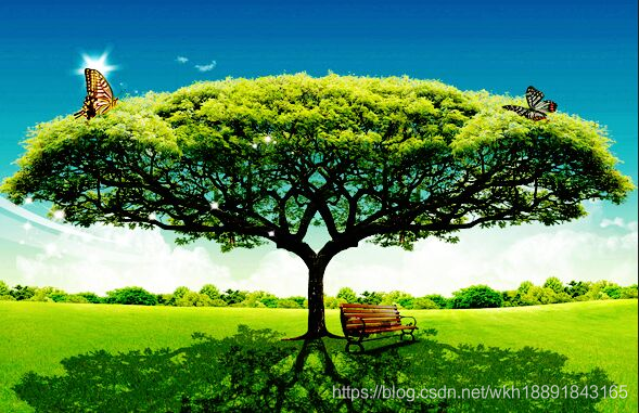 简单了解二叉树