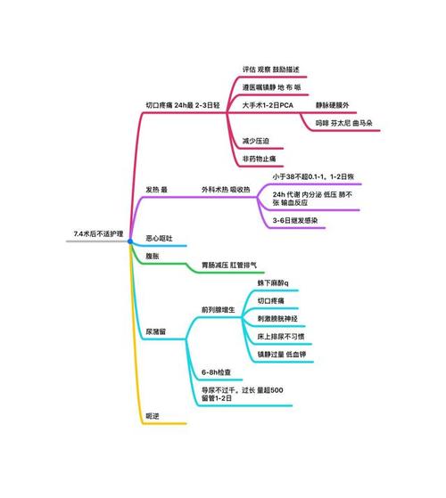 考研资料—外科护理学思维导图-考研买的