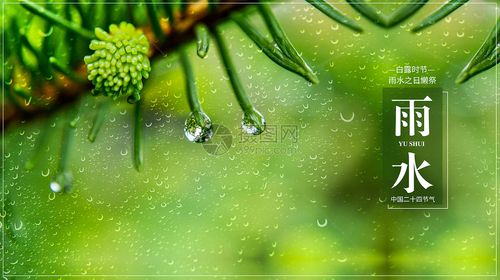 二十四节气之雨水