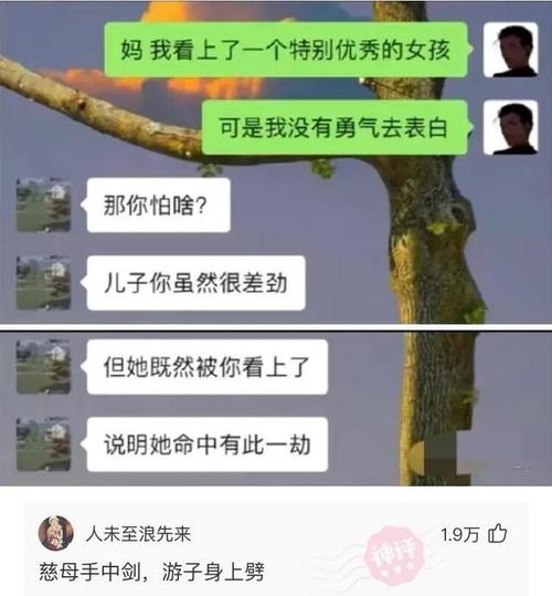 姓杜,想起一个"郑在通话中"这样的网名?